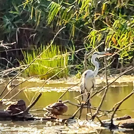 Casa Nautica Σπίτι διακοπών