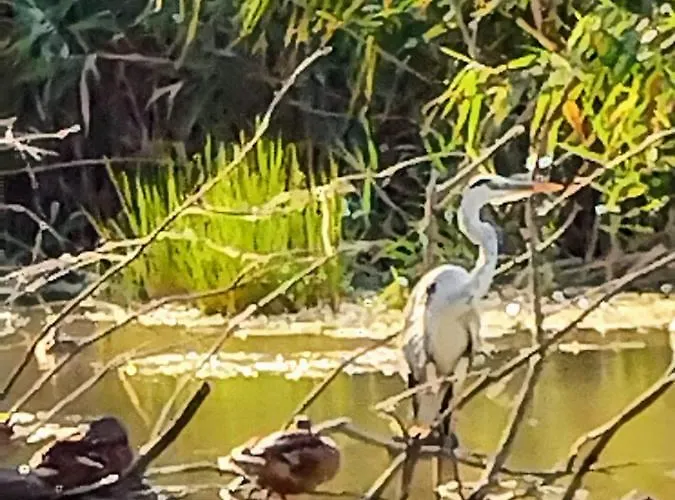 Casa Nautica Dom wakacyjny