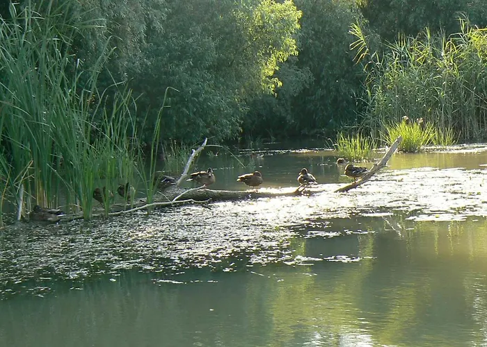Dom wakacyjny Casa Nautica Jurilovca
